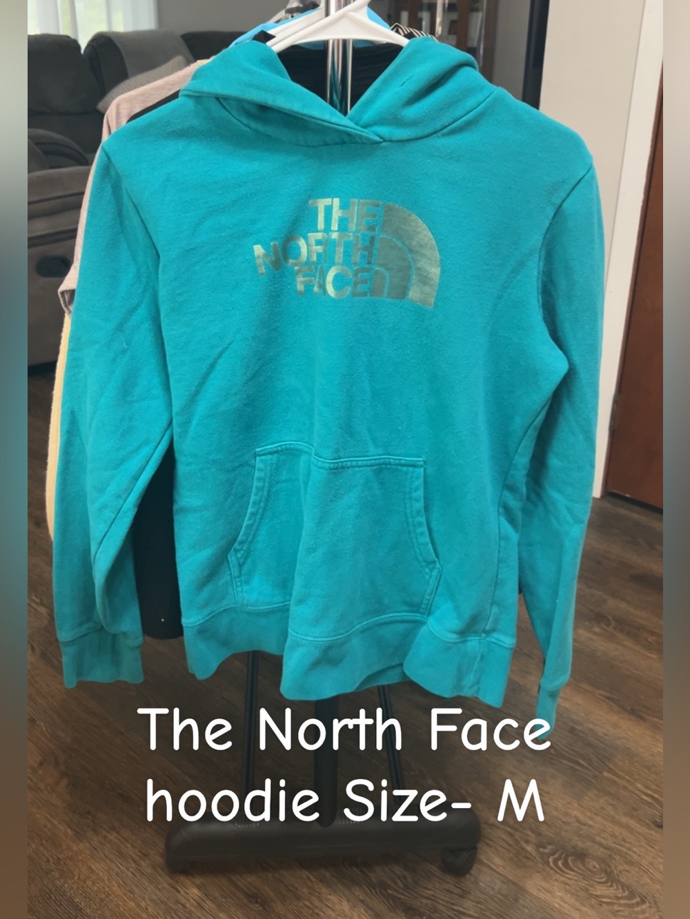 The North Face Teal Pullover Hoodie